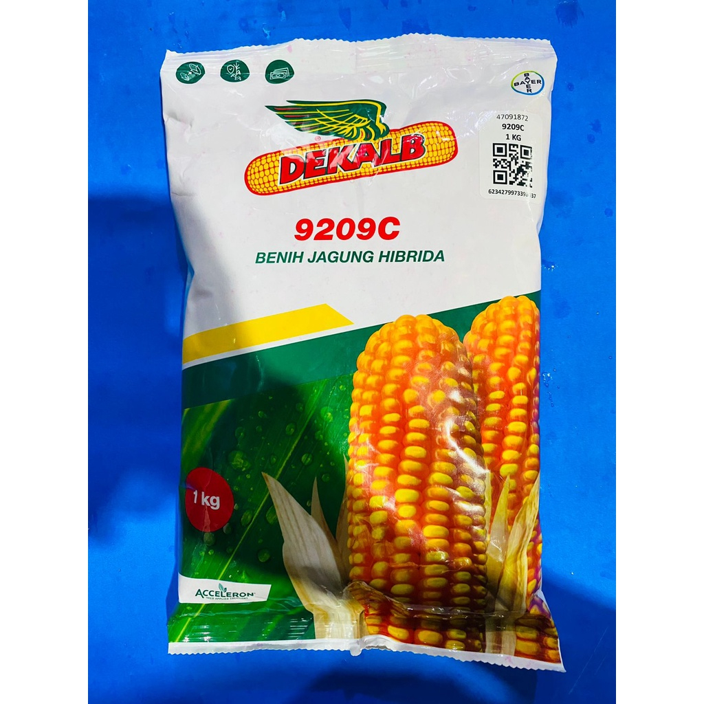 Benih DEKALB 9209C dan DEKALB 771 Jagung Hibrida isi 1kg dari ACCELERON