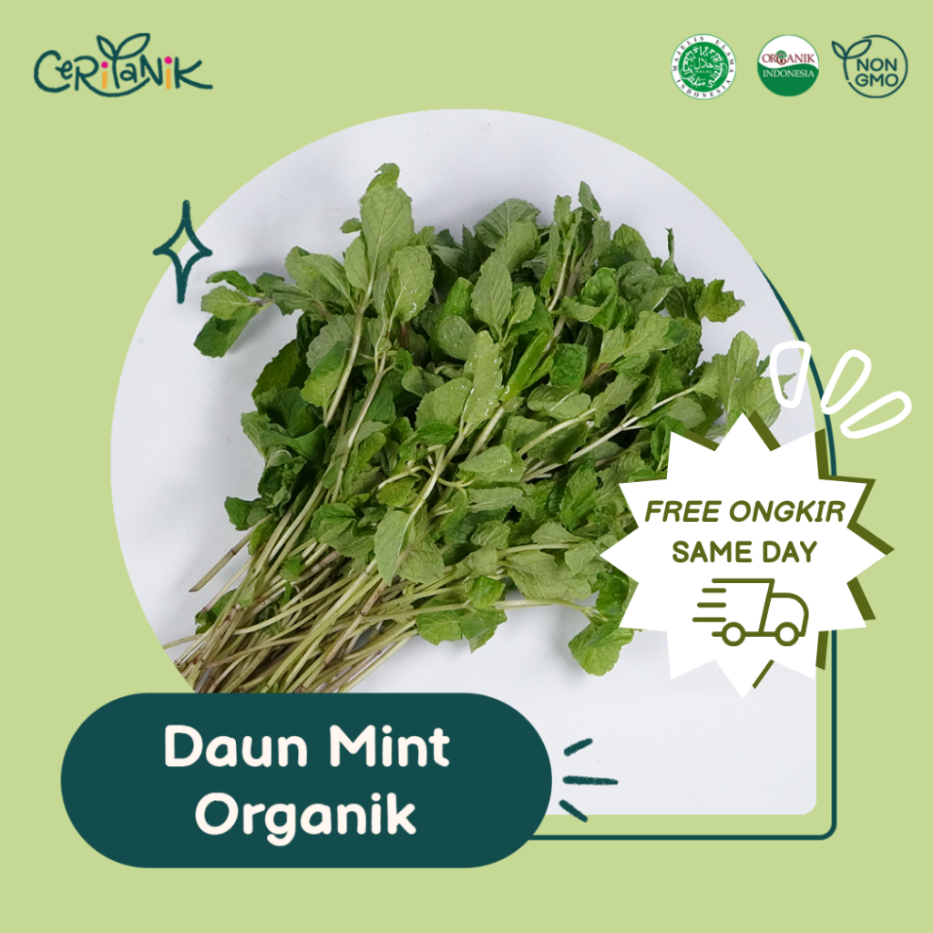 

Daun Mint Organik 50 gram - Ceritanik - Mint Organic - Sayur Organik Murah - Sayur Organik Sehat - Sayur Organik Premium