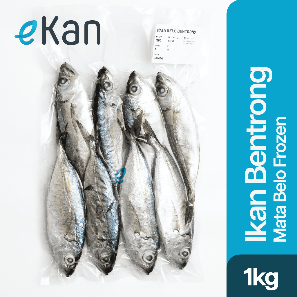 

Ikan Kembung Mata Belo Bentrong Frozen 1 Kg