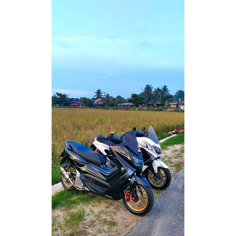 striping nmax old custom