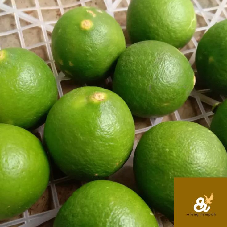 

Diskon Promo JERUK NIPIS 1 KG