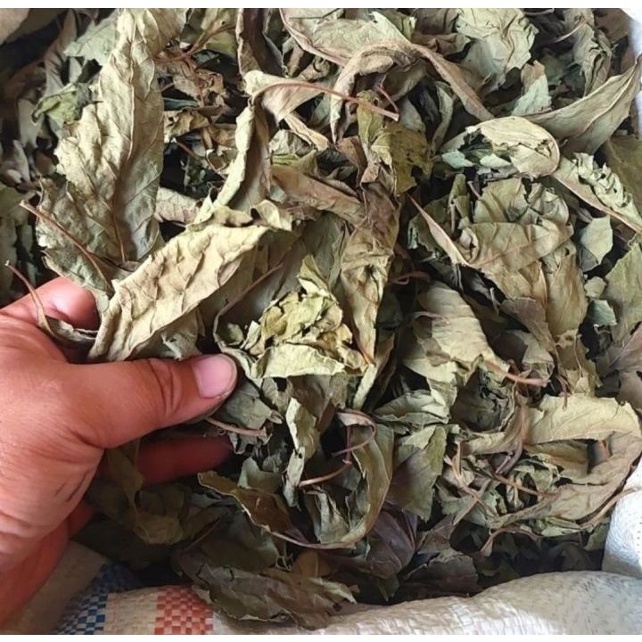 

Daun sambung nyawa kering 1kg