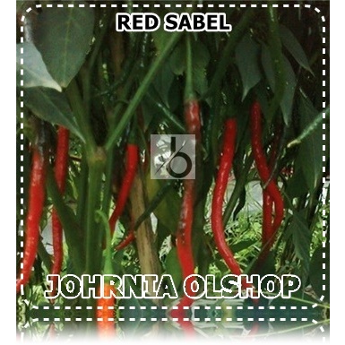Johrnia 10 Benih Biji Cabe Keriting RED SABEL
