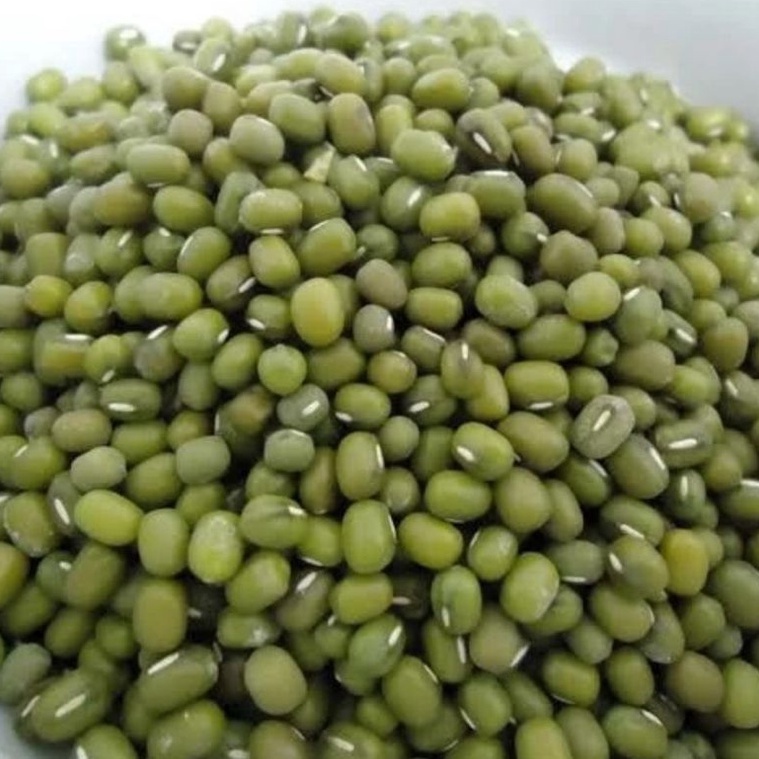 

R3ady St0ck kacang ijo Australia - kacang ijo lokal bubur 1 kg kualitas super Buruan Order Gan