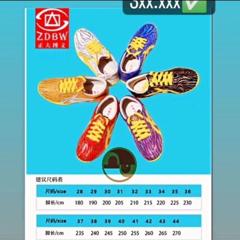 Sepatu Wushu ZDBW