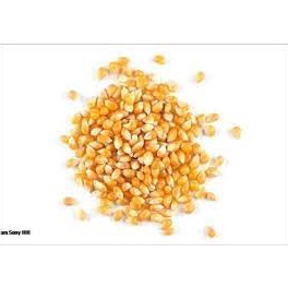 

S3ll3r JUAL JAGUNG POPCORN MENTAH SUPER 1 KG MAKANAN RINGAN SNACK CEMILAN JAJANAN MURAH ENAK Special