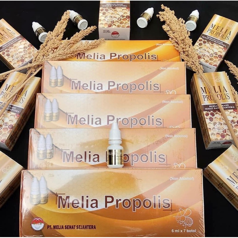 Melia propolis asli