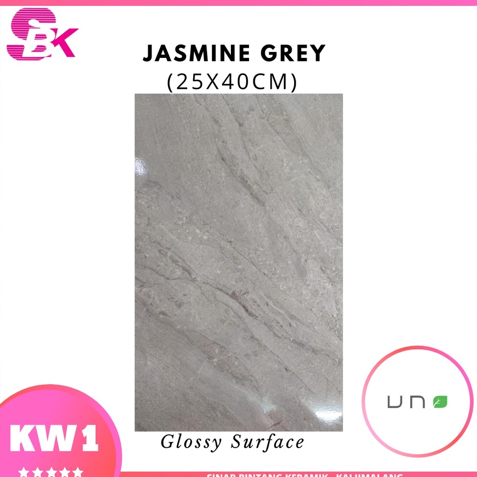 berkualitas Keramik Dinding 25x40 Jasmine Grey belkang