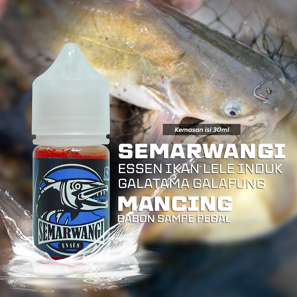 Essen Umpan Ikan Lele Mancing Galatama Indukan Babon Ikan Rame - SEMARWANGI Essen Lele Anti Zonk