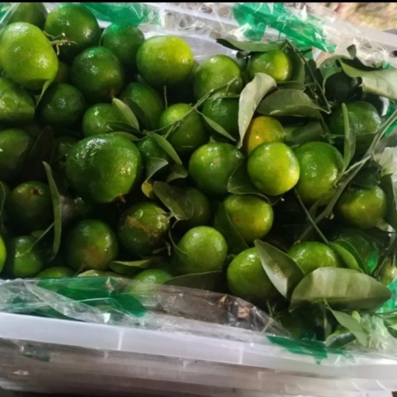

Jeruk shantang madu hijau manis fresh 1 krat
