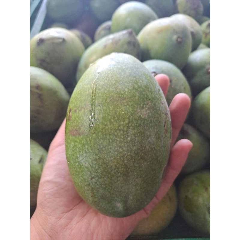 

Mangga Manalagi 500 gram