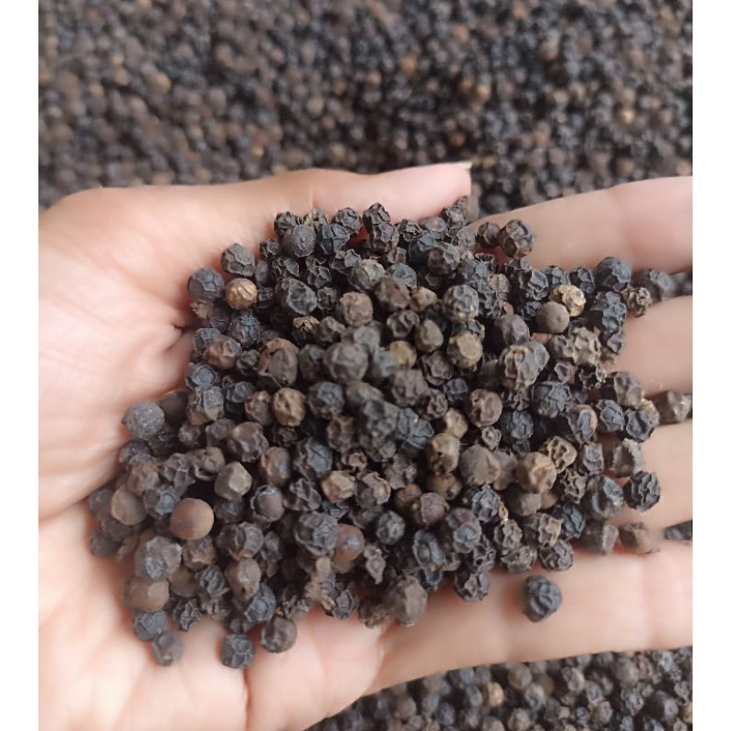 

LADA HITAM KUALITAS PREMIUM ( KERING) 1 KG & 1/2 KG