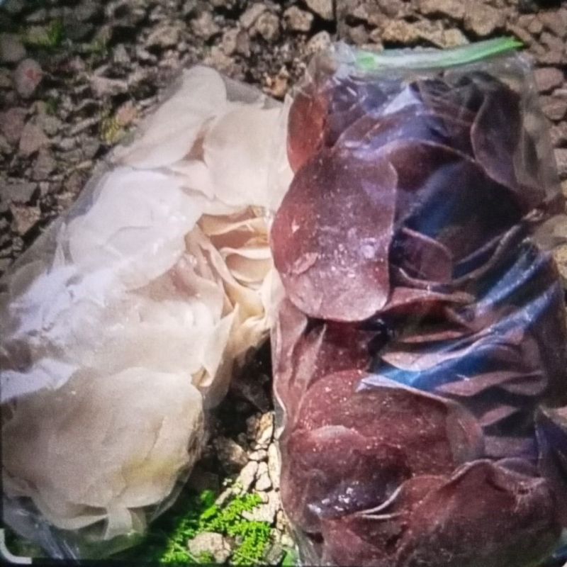 

kiripik ketan khas cililin