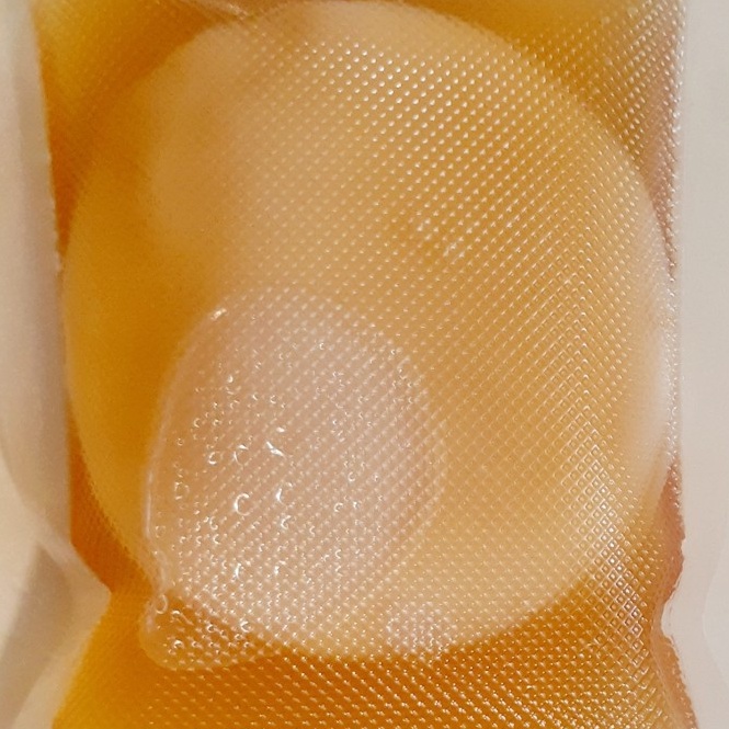 

Serb4 Murah Bibit Scoby Jamur Kombucha Tea [268]
