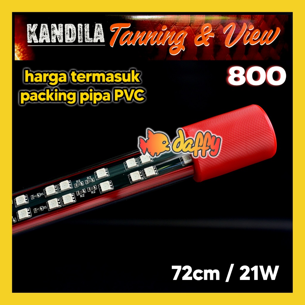 Kandila Pro Red TANNING and VIEW 800 lampu view tanning arowana