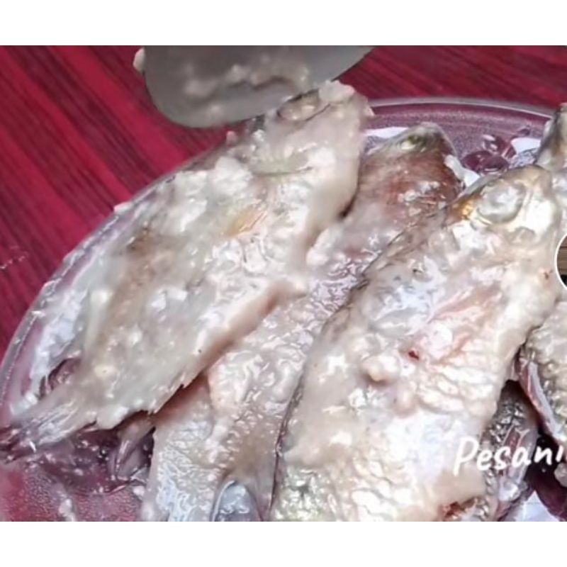

pekasam fermentasi ikan nasi