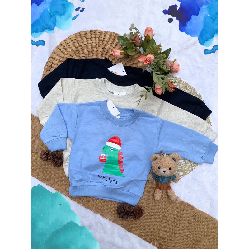 Sweater Dinosaur 0-3th