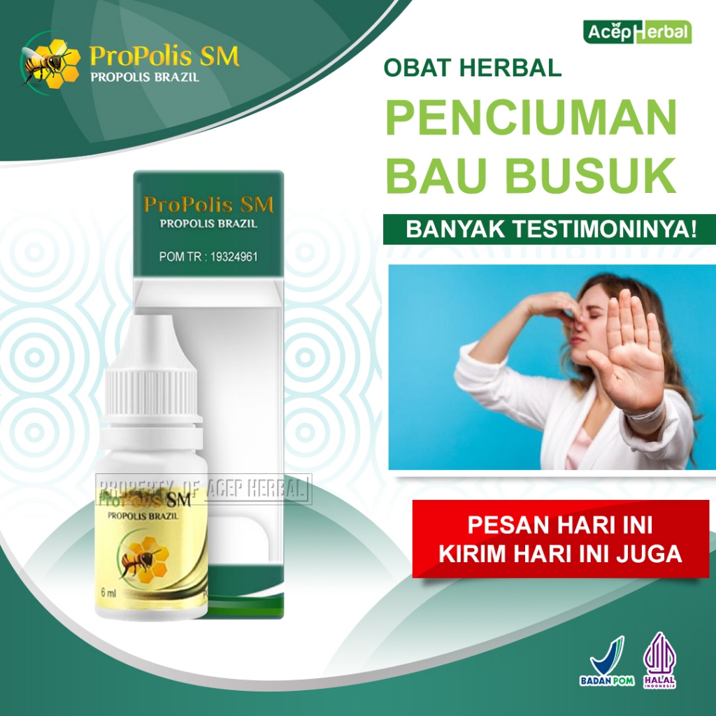 Obat Penciuman Bau Busuk Polip Hidung Hilang Penciuman Anosmia Sinusistis Rhinitis Alergi Gatal Di H