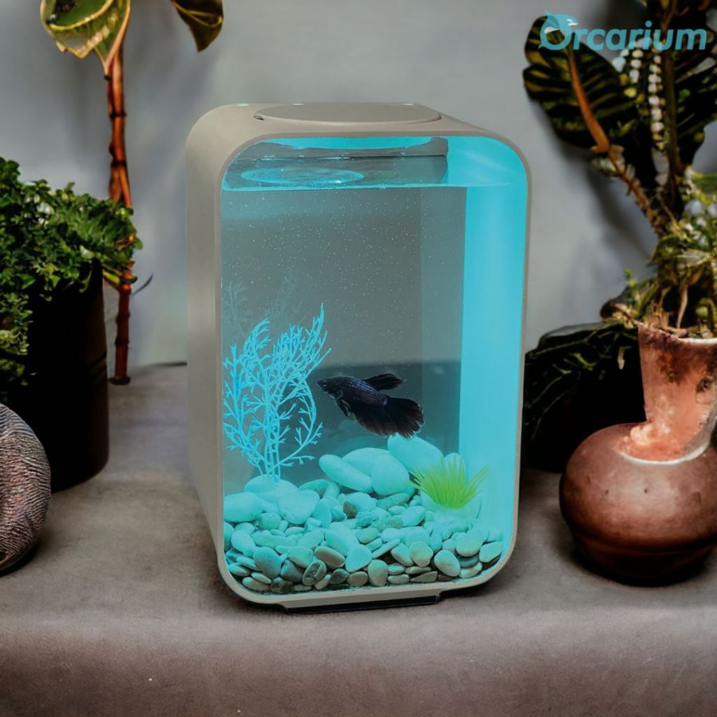 Orcarium Lobe Series SOLITER dengan Lampu ICE BLUE (Biru)/Aquarium Aesthetic/Akuarium mini/Akuarium 