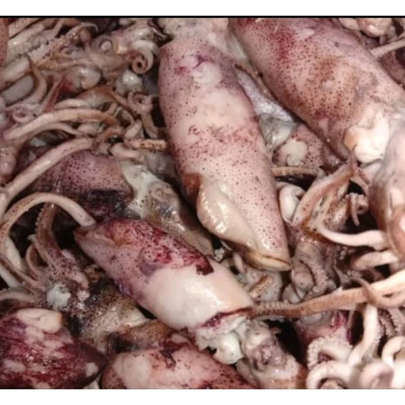

BABY CUMI / CUMI ASIN 500 GRAM