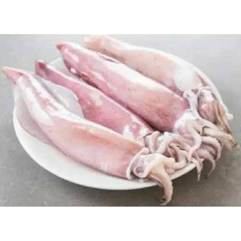 

Cumi Beku ukuran sedang (+/- 500gr)