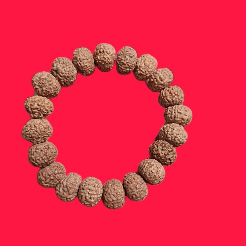 Gelang Jenitri Rudraksha Genitri Mukhi 7 Garis 7