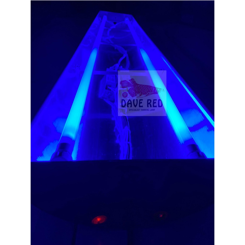 2 Aquazonic Lampu tanning Dave red Ikan Arwana super red