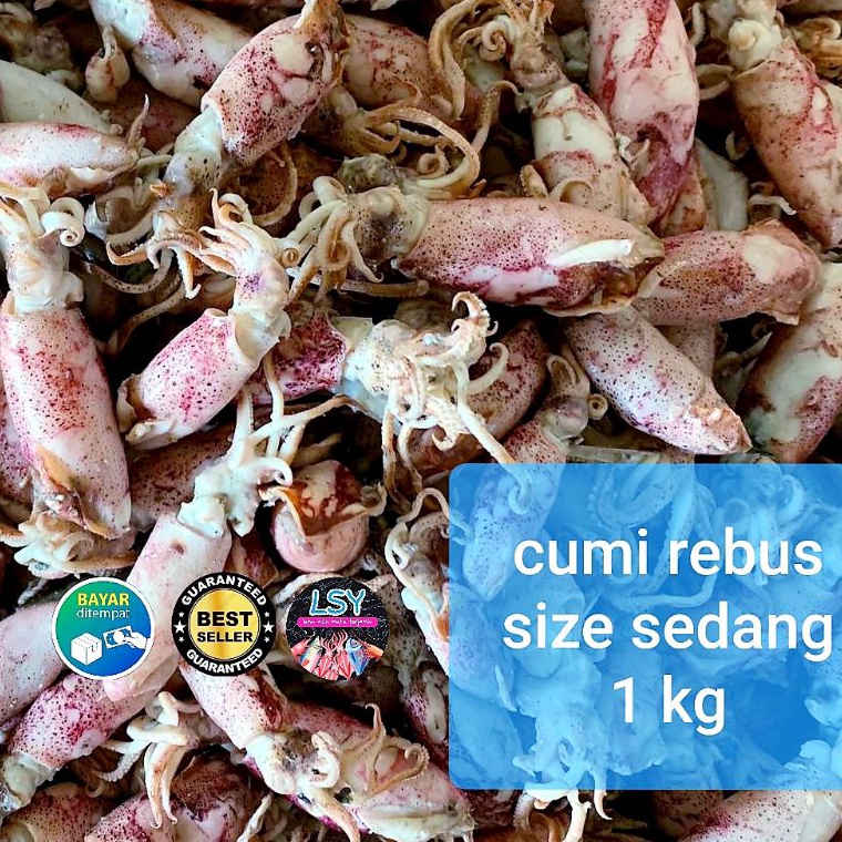 

Kode FGL624 ikan asin cumi rebus / sotong rebus size sedang 1kg