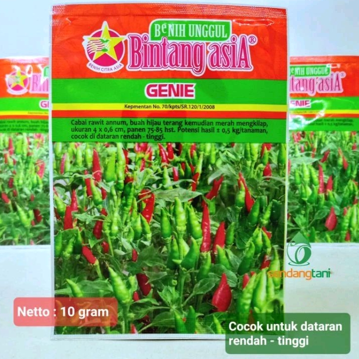 Cabe Rawit Hijau GENIE Benih Bibit Cabai Lalap Tegak dari Bintang Asia