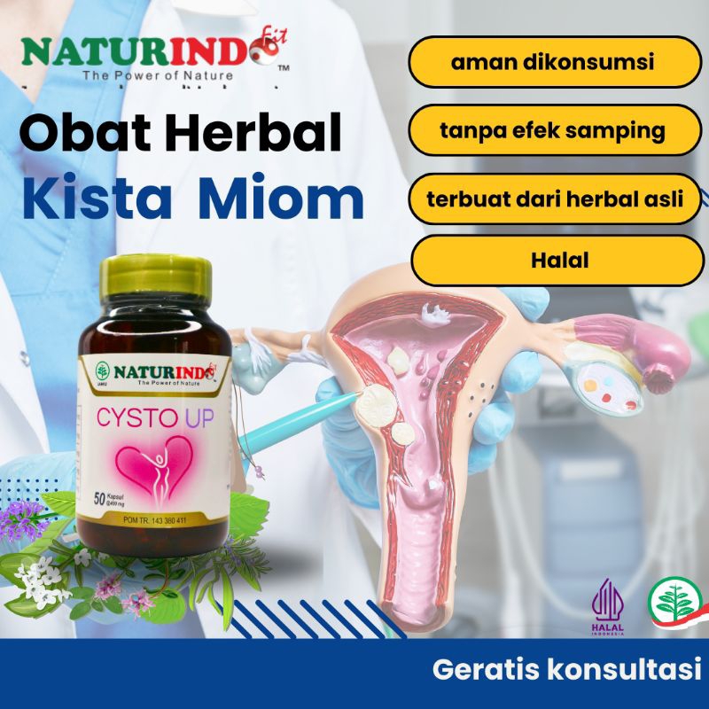 Obat miom dan kista paling ampuh obat Miom tanpa operasi Obat kista Ovarium Kista Bartholin Kista Ga