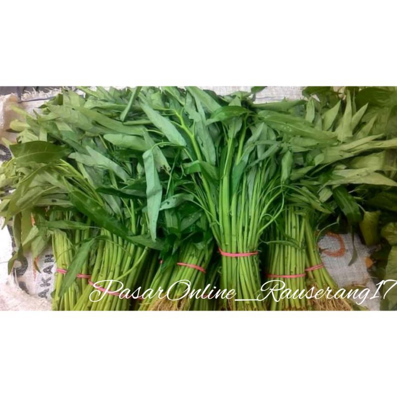 

Sayur Kangkung fresh per ikat dari pasar rau serang