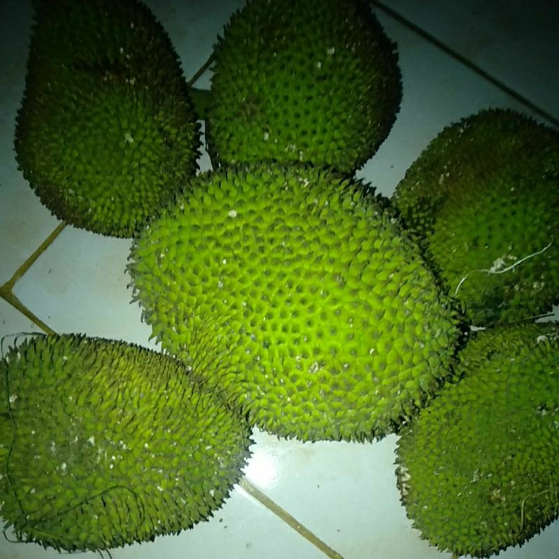 

BAHAN SAYUR KLUWIH KLUWEH