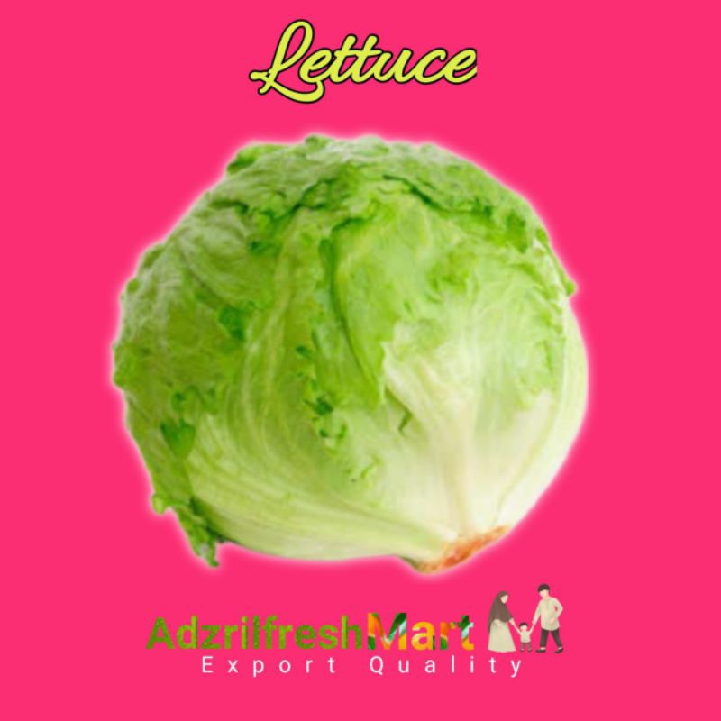 

LETTUCE FRESH
