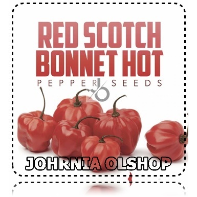 Johrnia 5 Benih Biji PEPPER Red Scotch Bonnet