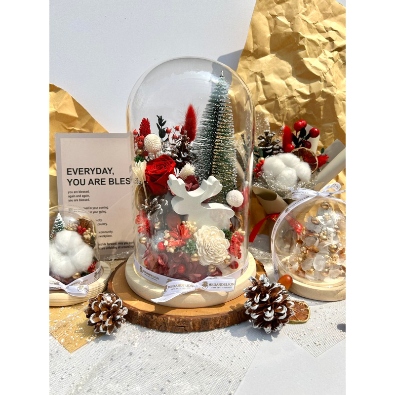 [Msdandelion] christmas edition glass dome | dried flower | bunga kering | dome | kubah kaca | natal