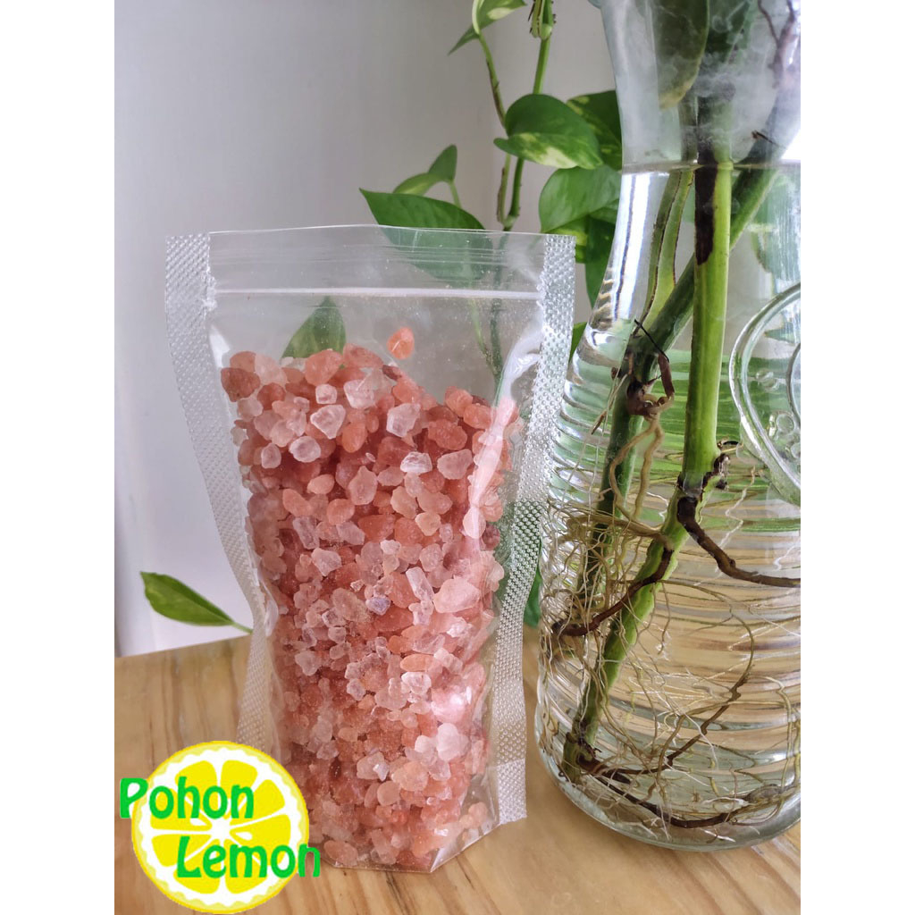 

Himalaya Salt/ Garam Himalaya Kasar 500gr *Pekanbaru*