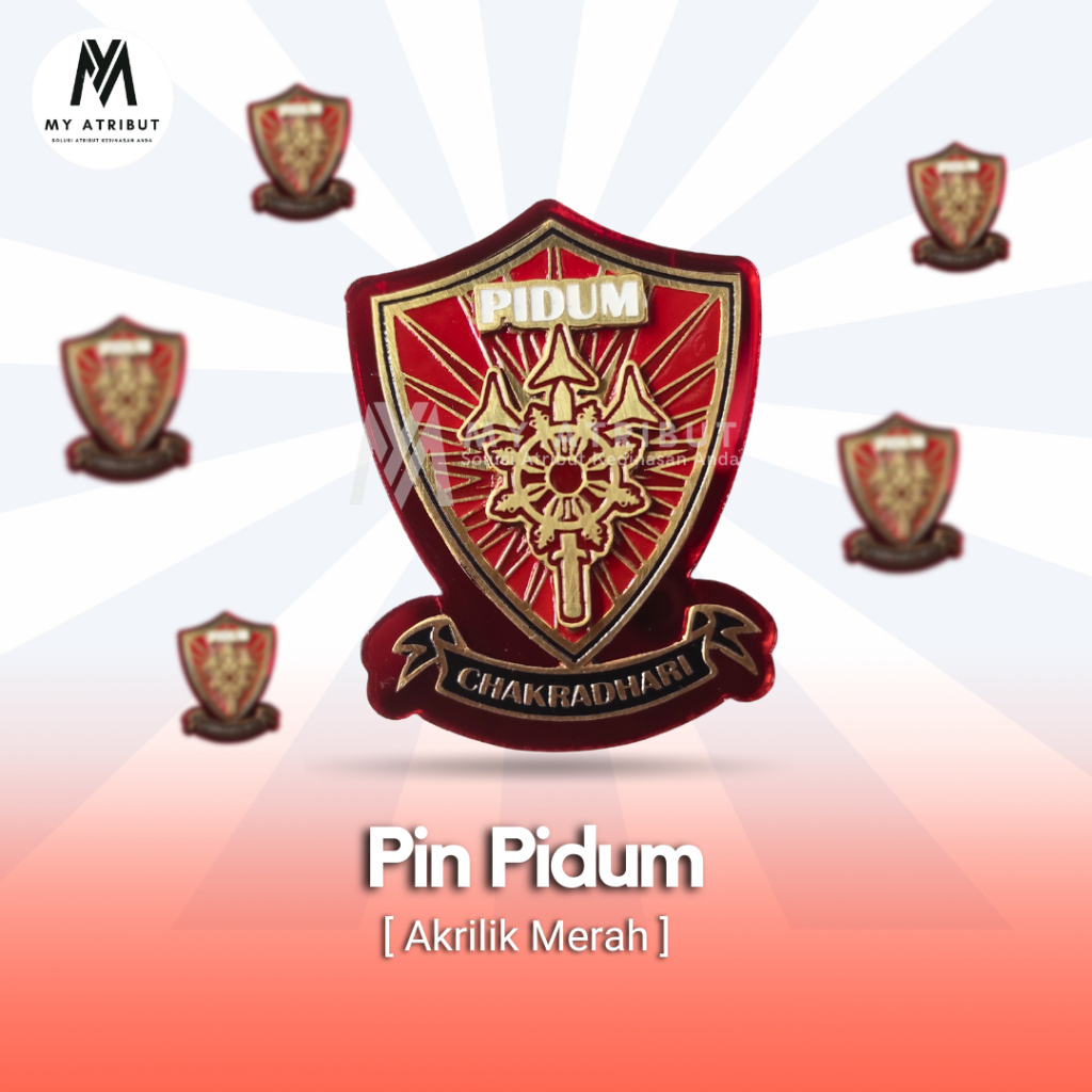 Pin Pidum Terbaru Kejaksaan RI