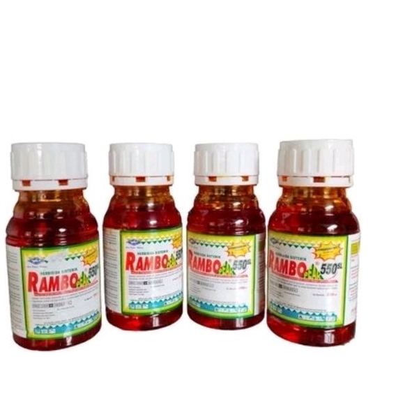 Rambo Peak 550 sl 250 mili
