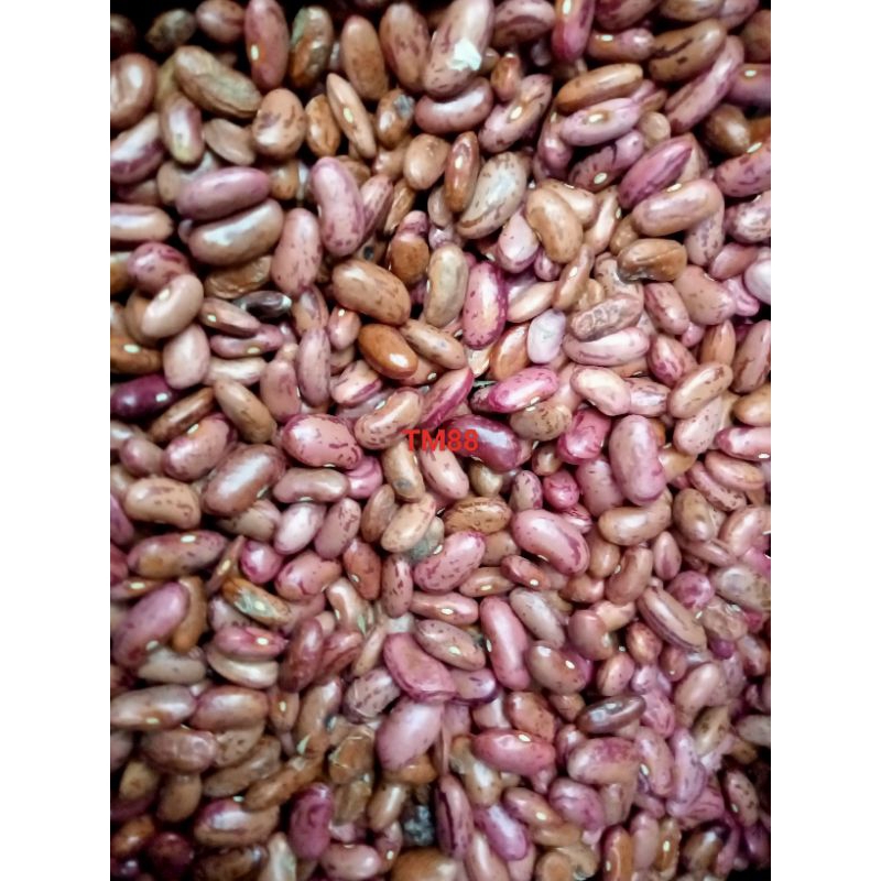 

KACANG MERAH/KACANG ES/KACANG JOGO/NATURAL RED KIDNEY BEAN