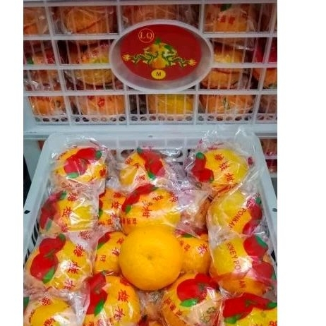 

Buah Jeruk Ponkam 1 krat/Keranjang