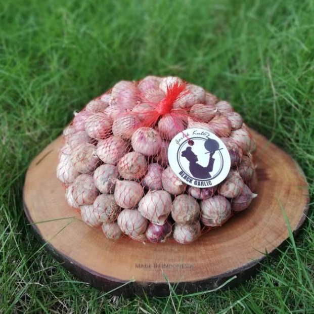 

[☯I66>] Bawang Putih Tunggal | Bawang Lanang 1 kg [282]