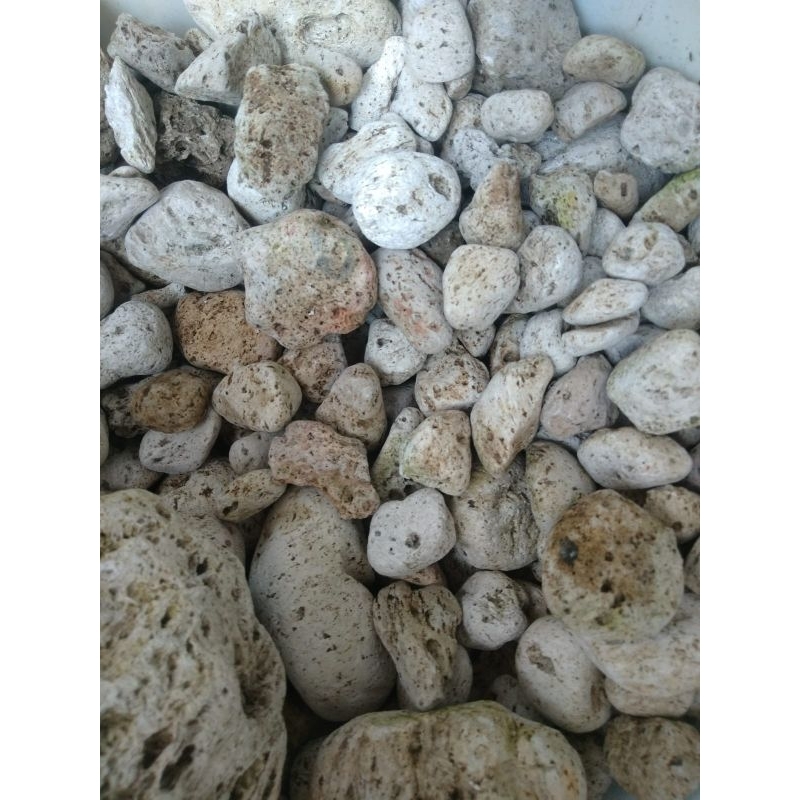 batu apung filter aquarium filter kolam