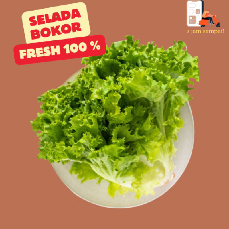 

Selada Hijau Bokor fresh Sayuran KIRIM INSTAN BANDUNG 250gram