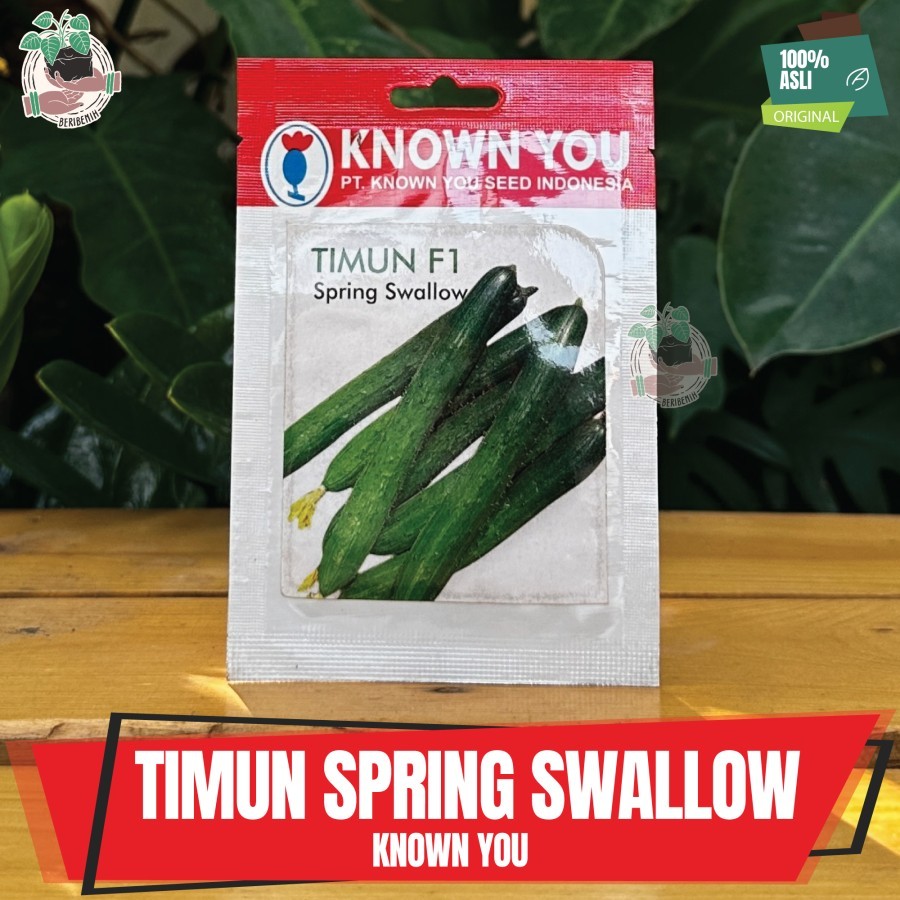 Benih Bibit Timun Jepang F1 Spring Swallow Biji Ketimun Known You Seed