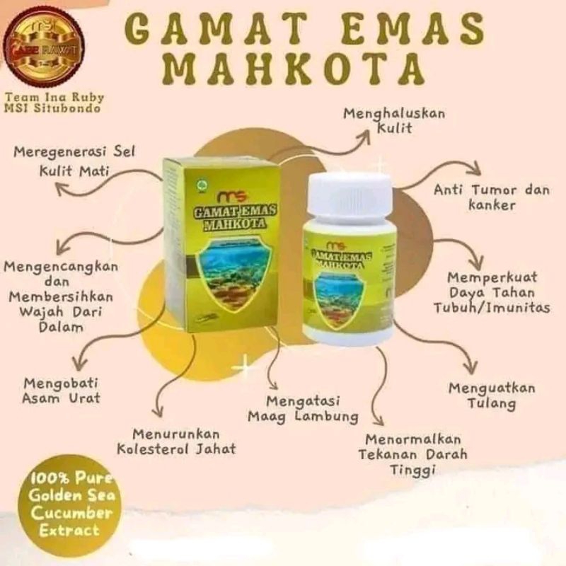 GAMAT MSI ORIGINAL BPOM GAMAT EMAS