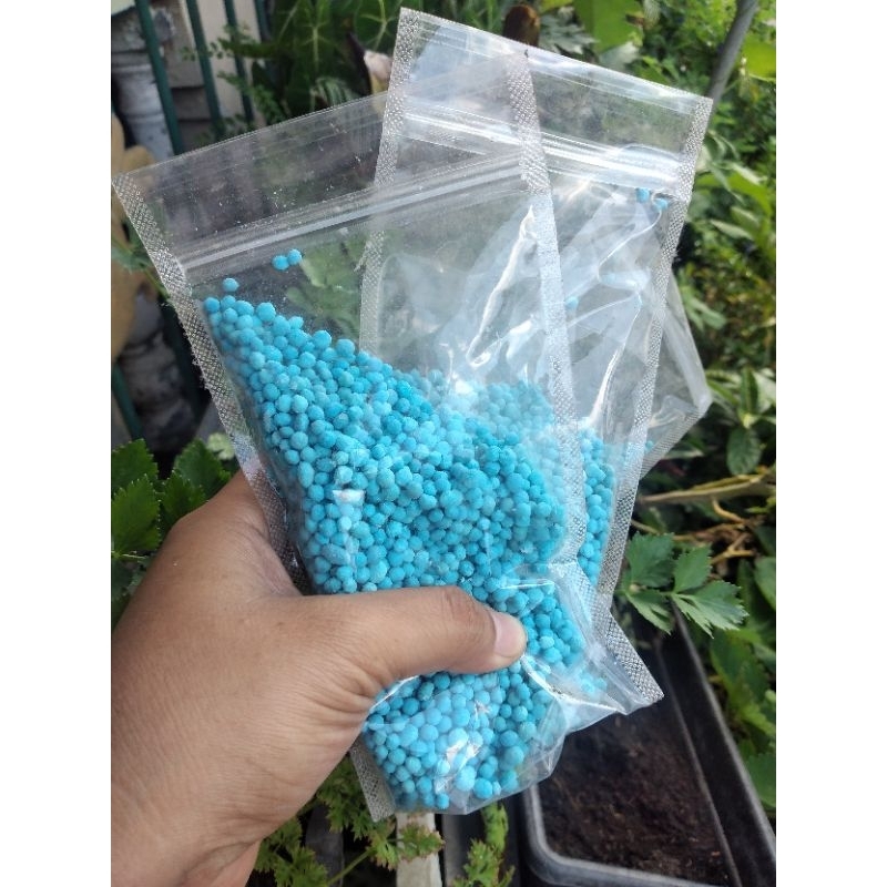 Pupuk mutiara biru (mes)