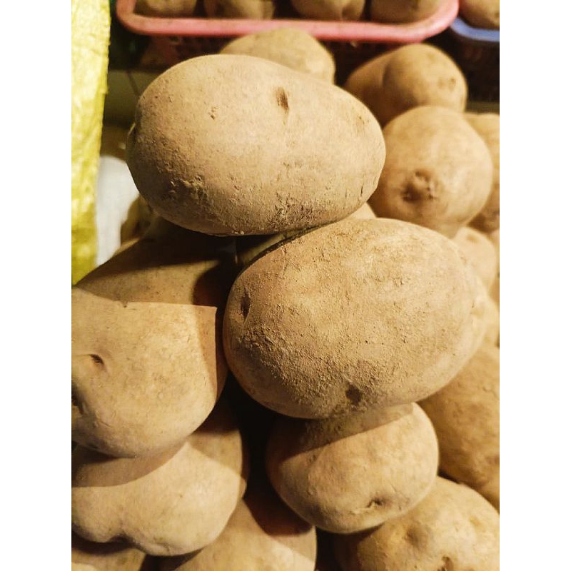 

Kentang dieyeng kuning AB kualitas fresh 1 kg