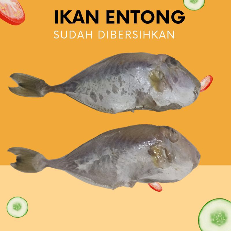 

Ikan Etong Bersih Frozen / Ikan Jebong / Ikan Kambing / Ikan Ayam-ayam Bersih dari kulit dan jeroan FROZEN