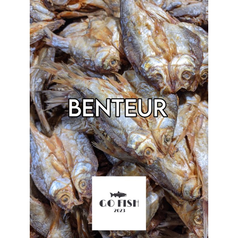 

IKAN ASIN (benter) MURAH PREMIUM GRADE A
