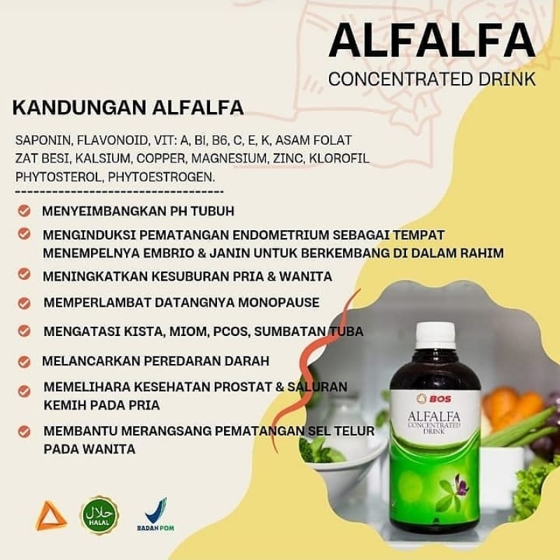 Alfalfa concentrated drink